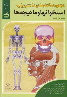 عکس استخوانها و ماهیچه‌ها