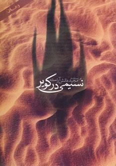 عکس نسیمی در کویر