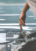عکس معجزه توجه‌آگاهی