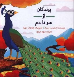 عکس پرندگان از سر تا دم
