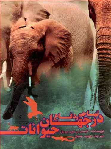 عکس تهاجم و دفاع در جهان حیوانات