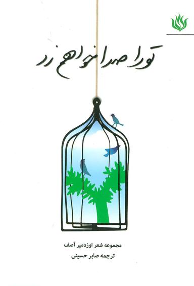 عکس تو را صدا خواهم زد