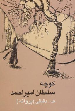 عکس کوچه سلطان امیراحمد