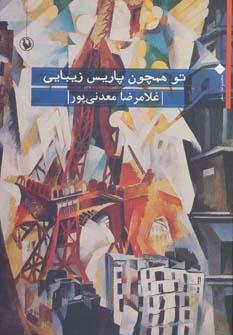 عکس تو همچون پاریس زیبایی (مجموعه شعر)