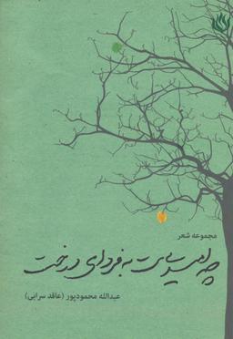 عکس چه امیدی‌ست به فردای درخت
