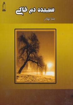 عکس سپیده‌دم خاکی