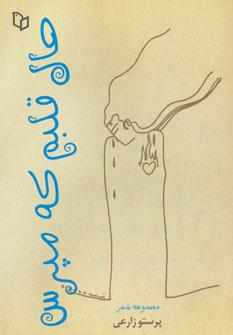 عکس حال قلبم که مپرس: مجموعهٔ شعر
