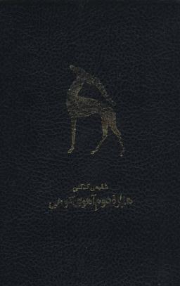 عکس هزاره دوم آهوی کوهی (دوازده دفتر شعر)، (۲جلدی)