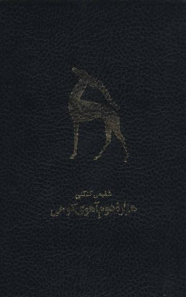 عکس هزاره دوم آهوی کوهی (دوازده دفتر شعر)، (۲جلدی)