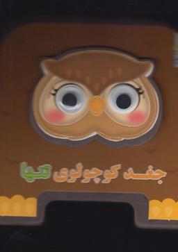 عکس کتابفومی چشمی (جغدکوچولوی تنها)