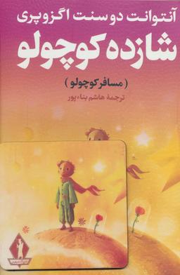 عکس شازده کوچولو (مسافر کوچولو)، همراه با تابلو