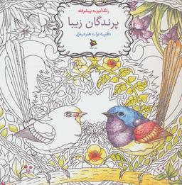 عکس رنگ آمیزی پیشرفته پرندگان زیبا