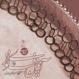 عکس آیین دف نوازی (کتاب دوم)