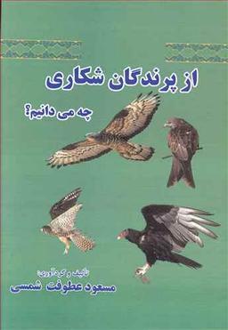 عکس از پرندگان شکاری چه می‌دانیم