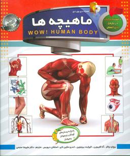 عکس دانستنی‌هایی درباره بدن انسان ماهیچه‌ها