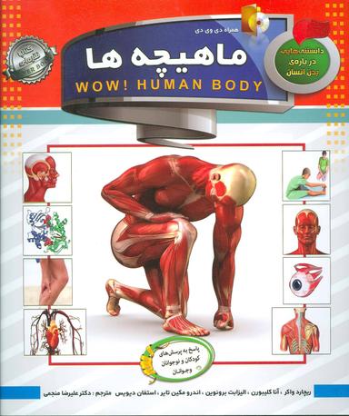 عکس دانستنی‌هایی درباره بدن انسان ماهیچه‌ها