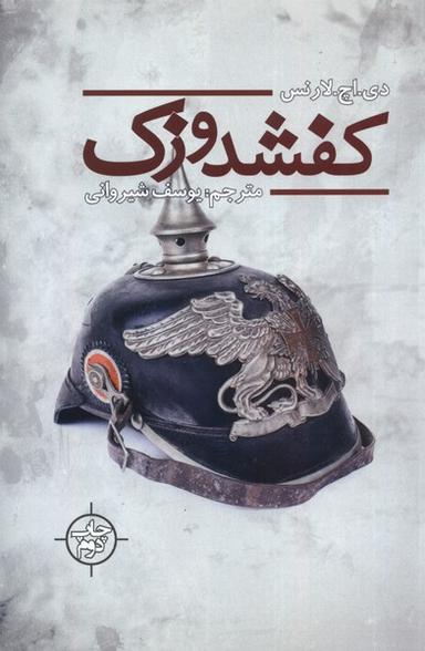 عکس کفشدوزک