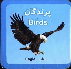 عکس کتاب فومی پرندگان