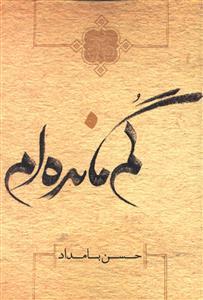 عکس گم مانده‌ام