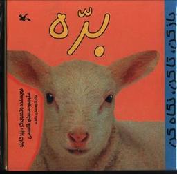 عکس باز کن تا کن نگاه کن (بره)