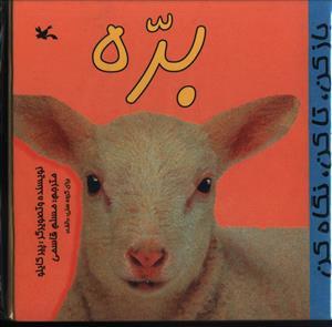 عکس باز کن تا کن نگاه کن (بره)