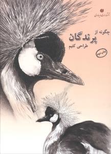 عکس چگونه از پرندگان طراحی کنیم