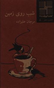 عکس شب روی زمین