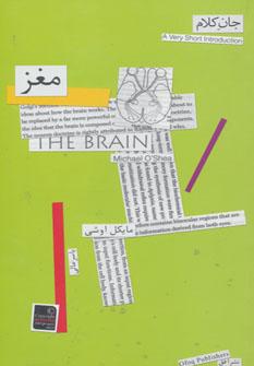 عکس مغز
