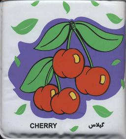 عکس کتاب حمام (پوشاک)