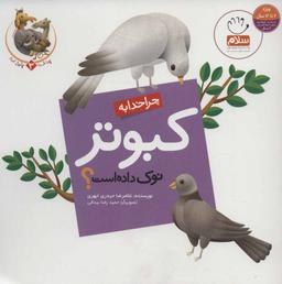 عکس چرا خدا به کبوتر نوک داده است؟