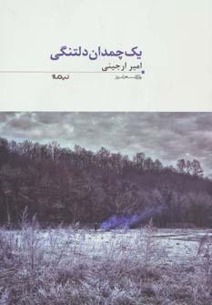 عکس یک چمدان دلتنگی