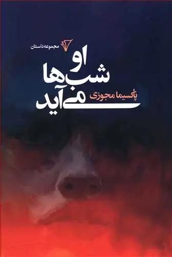 عکس او شب‌ها می‌آید