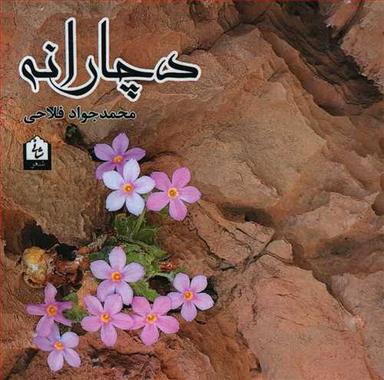 عکس دچارانه