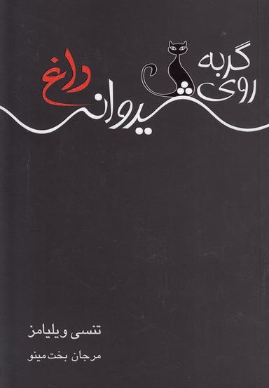 عکس گربه روی شیروانی داغ