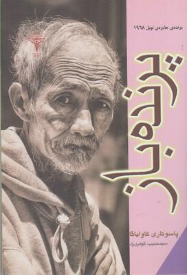 عکس پرنده باز