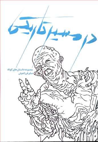 عکس در مسیر تاریکی: مجموعه داستان‌های کوتاه