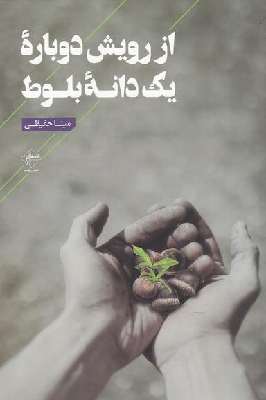 عکس از رویش دوباره یک دانه بلوط