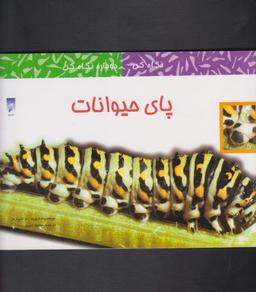 عکس نگاه کن دوباره نگاه کن (پای حیوانات)