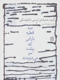 عکس صد قطره بارانی که پشت سر می‌دویدند