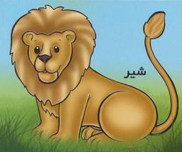 عکس حیوانات را بشناسیم