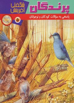 عکس پرندگان
