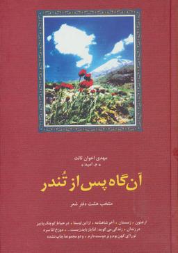 عکس آن گاه پس از تندر: منتخب هشت دفتر شعر