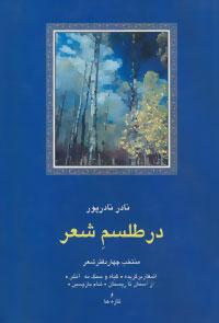 عکس در طلسم شعر: منتخب چهار دفتر شعر