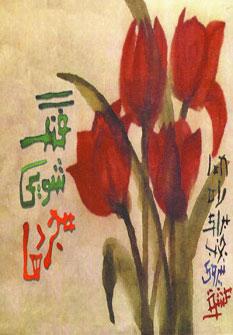 عکس فنگ شویی مجردها