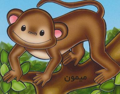 عکس حیوانات را بشناسیم (میمون)