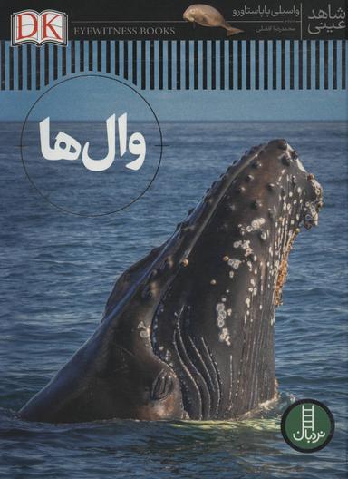 عکس وال‌ها