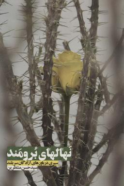 عکس نهال‌های برومند: سیری در باورهای آزادگان سربلند