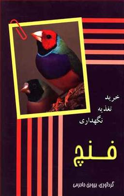 عکس فنچ (خرید تغذیه نگهداری)