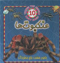 عکس حیوانات خطرناک (عنکبوت‌ها)