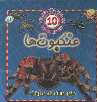 عکس حیوانات خطرناک (عنکبوت‌ها)